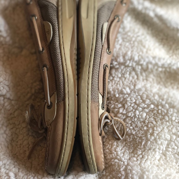 Sperry Top Sider - Picture 6 of 7